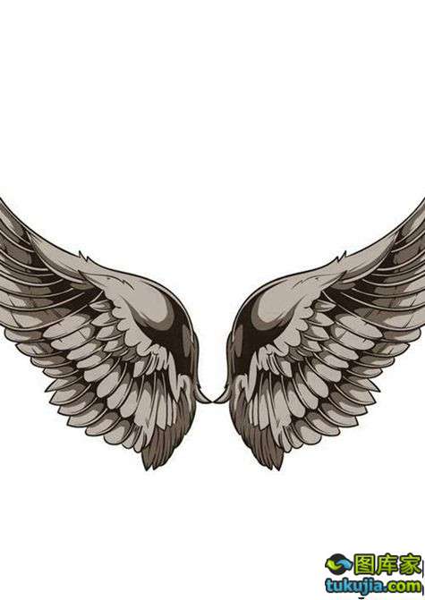 翅膀wing 天使翅膀 恶魔翅膀 翅膀图案 翅膀标志 纹身