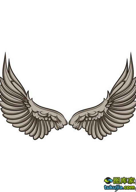 翅膀wing 天使翅膀 恶魔翅膀 翅膀图案 翅膀标志 纹身