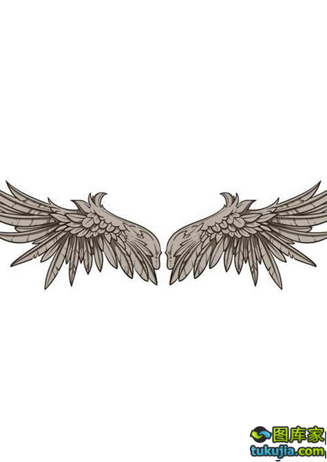 翅膀wing 天使翅膀 恶魔翅膀 翅膀图案 翅膀标志 纹身