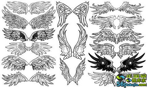 wing ʹ  ͼ ־ 